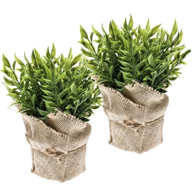 2x Kunstplanten muizendoorn kruiden groen in jute pot 20 cm