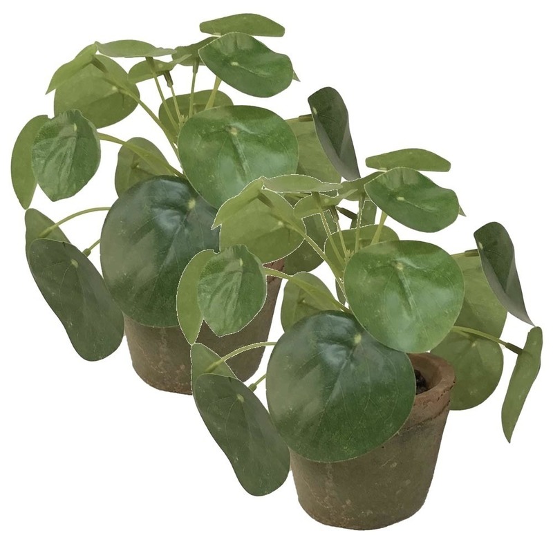 2x Kunstplanten Pilea groen in pot 13 cm