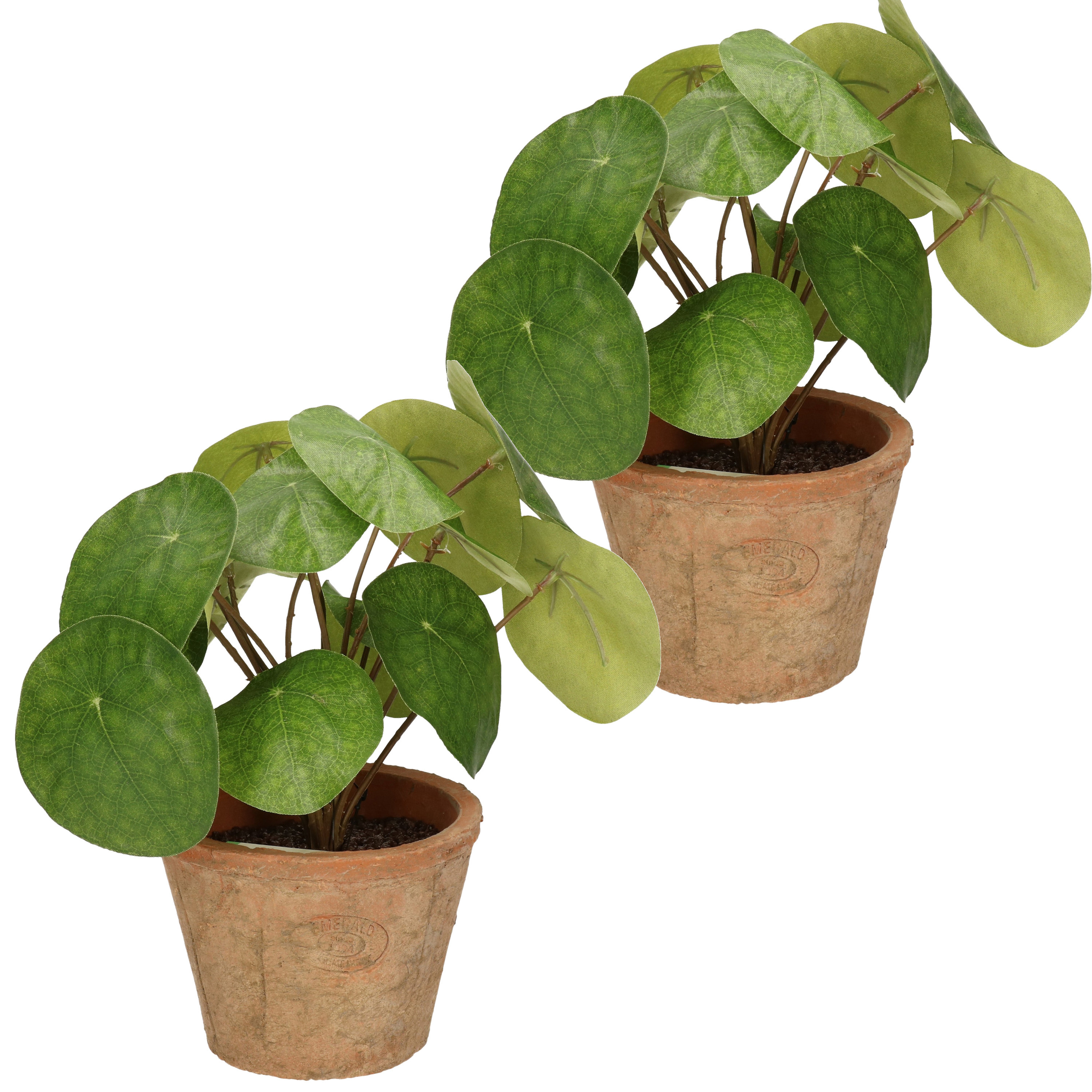 2x stuks Kunstplanten Pannekoekplant pilea groen in pot 25 cm