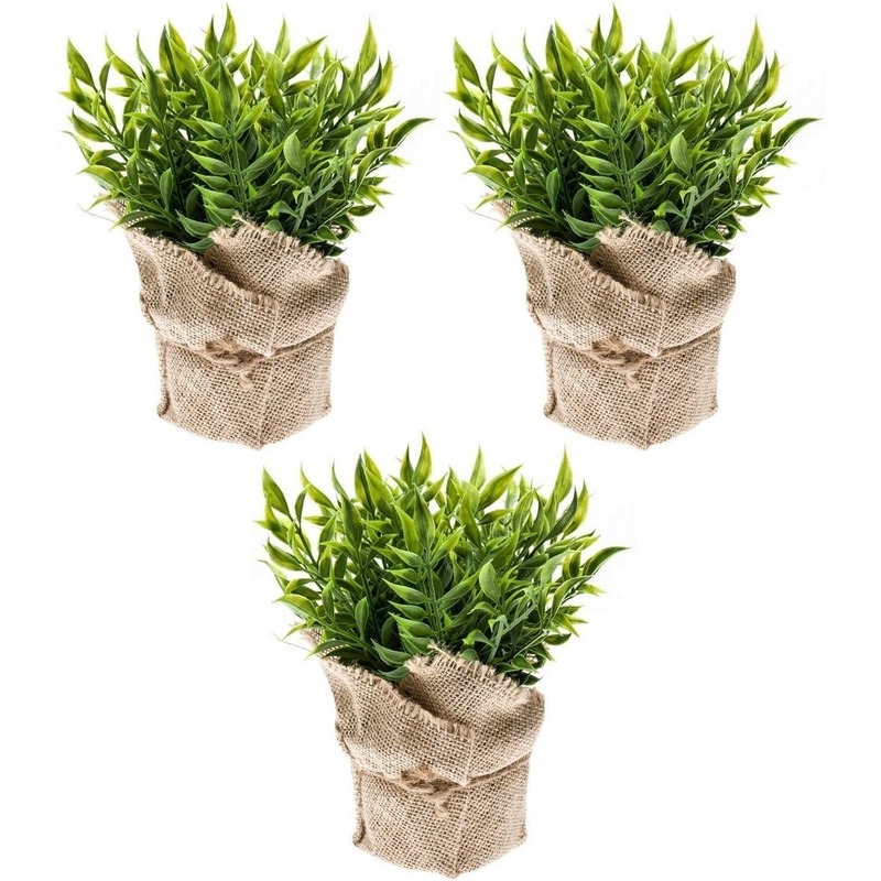 3x Kunstplanten muizendoorn kruiden groen in jute pot 20 cm