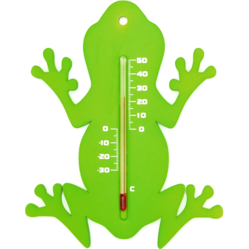 Binnen-buiten thermometer groene kikker 15 cm