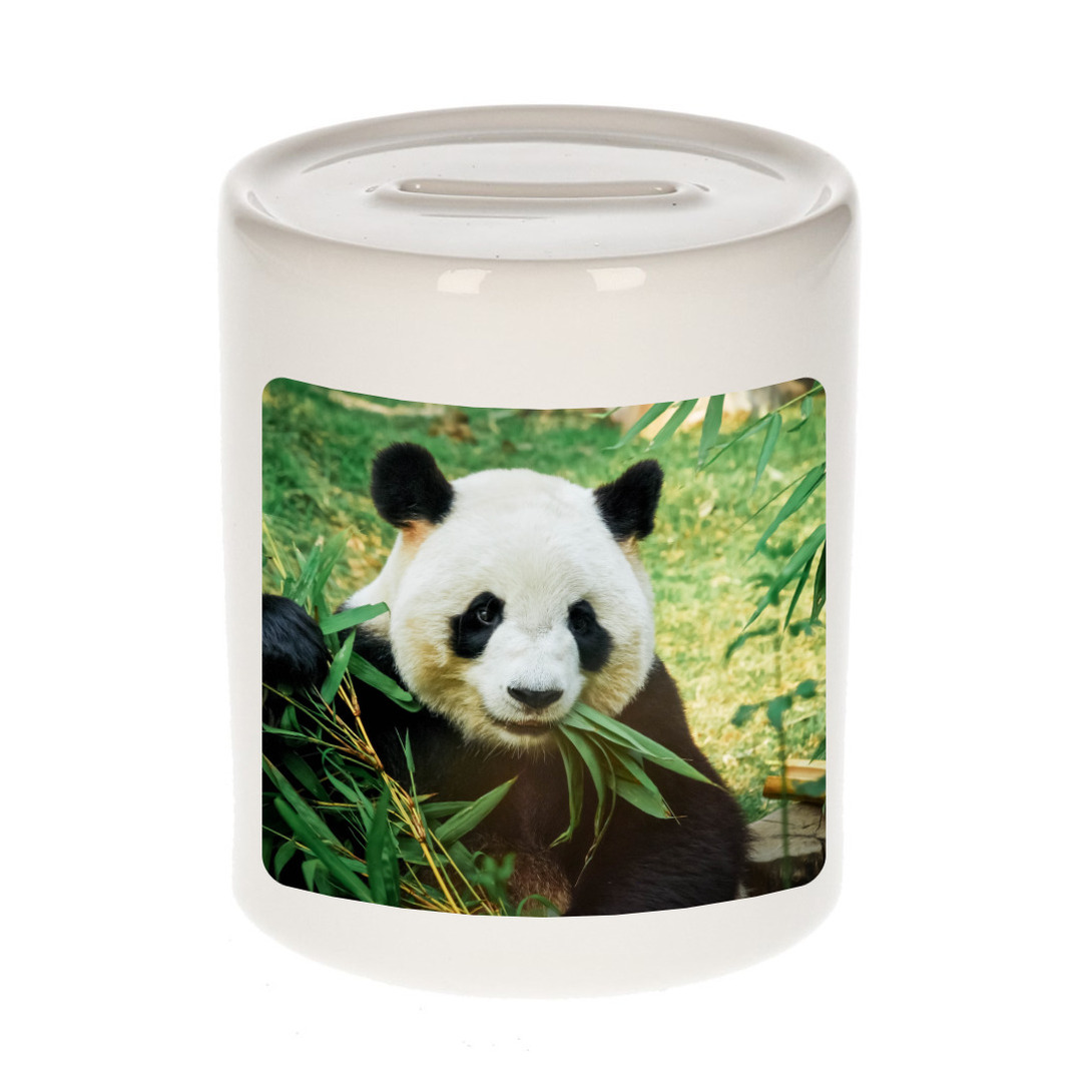 Dieren foto spaarpot panda 9 cm pandaberen spaarpotten jongens en meisjes