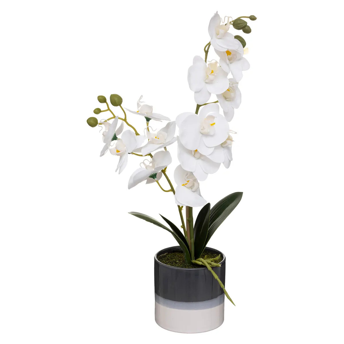 Orchidee bloemen kunstplant in sierlijke blauwe bloempot witte bloemen H45 cm