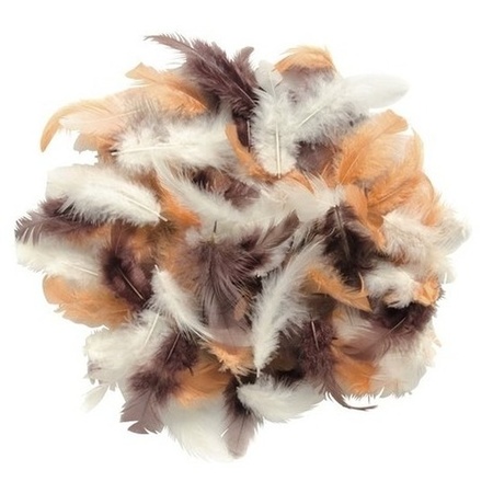 10 grams decoratiom feathers brown shades