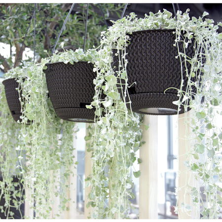 1x Stuks witte hangende kunststof Splofy bloempotten/plantenpotten met schotel 3 liter