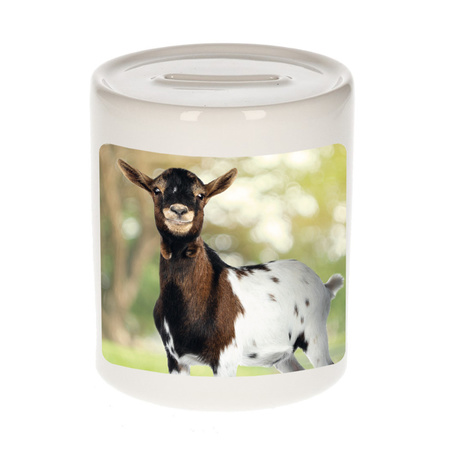 Animal photo money box goats