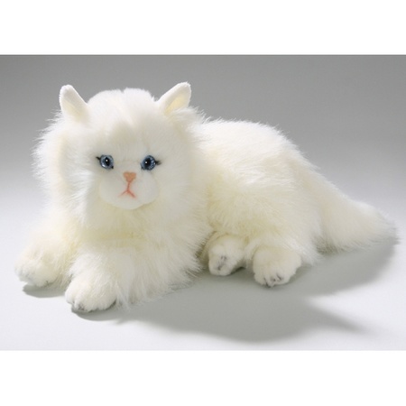 naald Woning engineering Pluche katten knuffel Perzische kat 30 cm | Surprise winkel