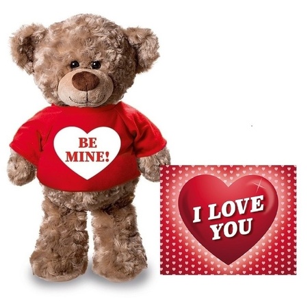 Pluche Be mine teddybear 24 cm with Valentines postcard 