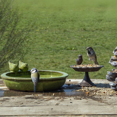 Bird bath/feeding ceramic green 33 x 31 cm